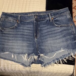 American Eagle Outfitters Distressed Blue Jean Shorts
